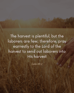 Daily Catholic Readings – October 03, 2024 2 Daily Catholic Readings – October 03, 2024